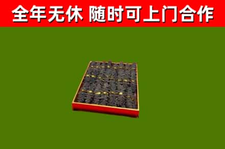 天津回收海参